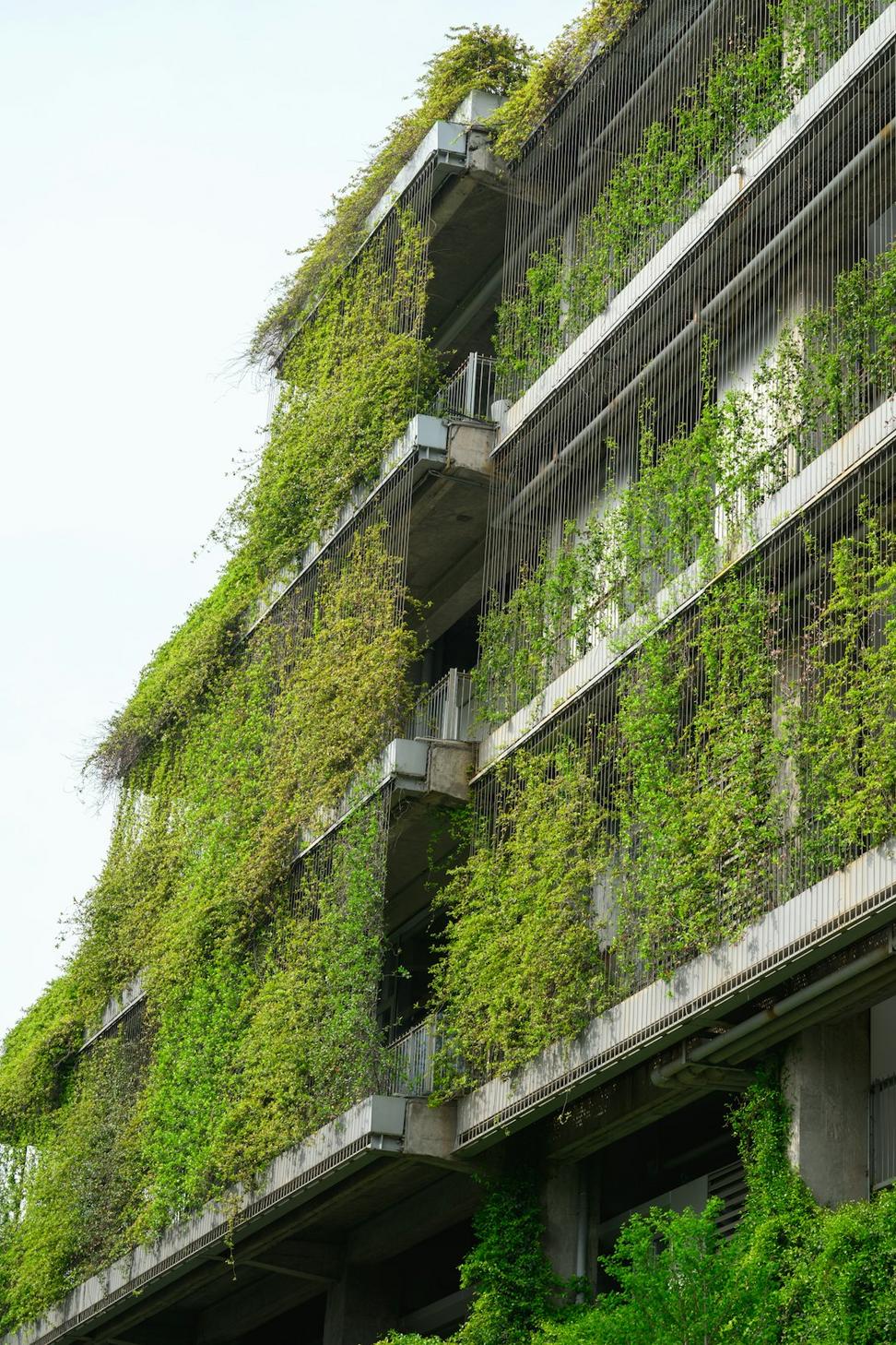 Architecture integrated with nature