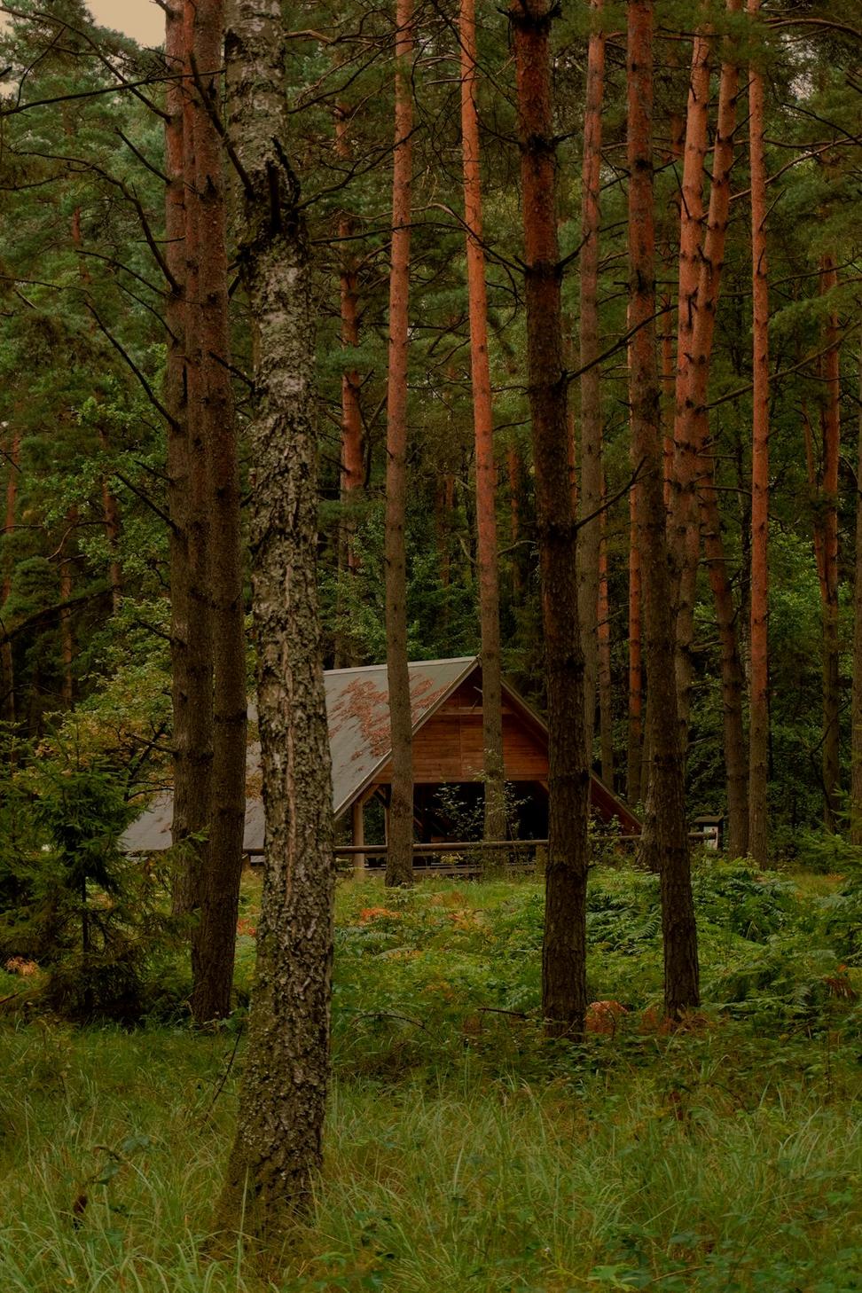 Forest Home