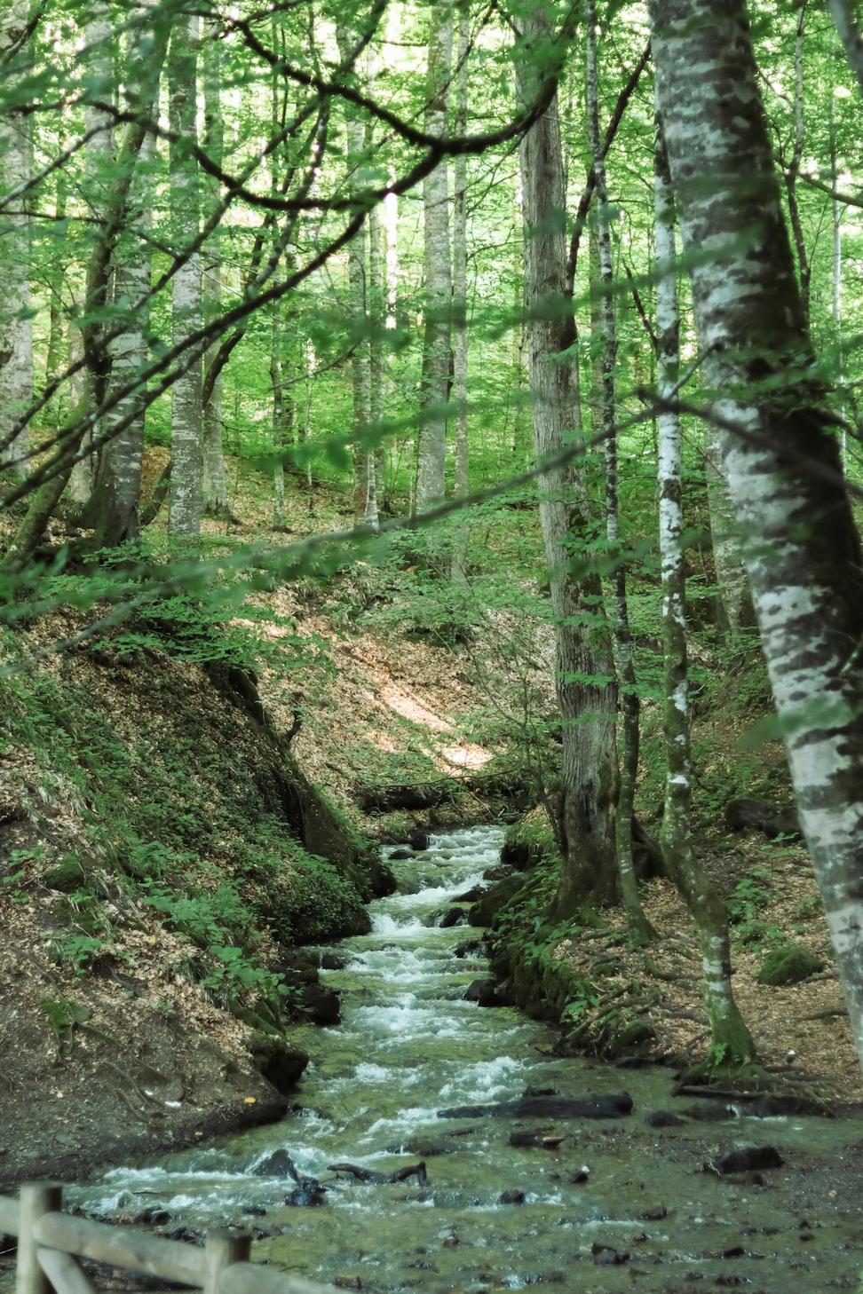Environmental Impact Assessment