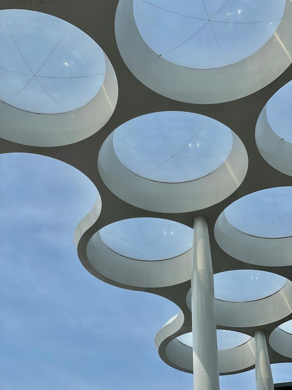 Contemporary sustainable building with natural lighting
