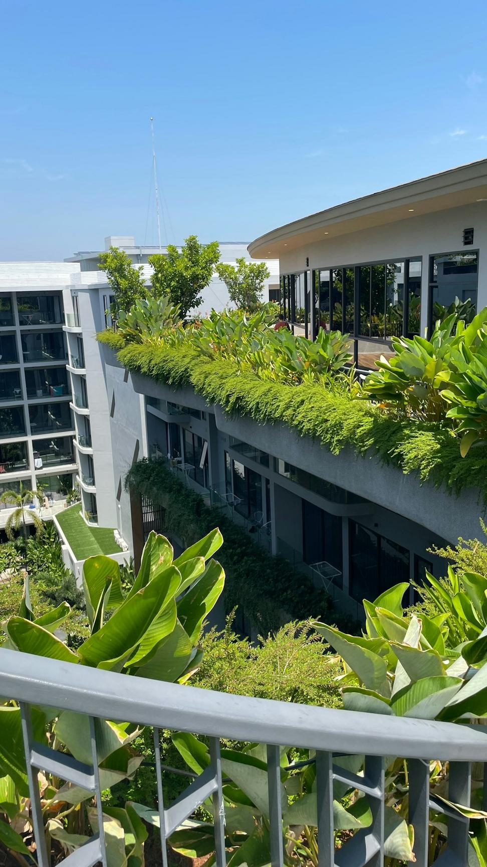 Green roof sustainable architecture